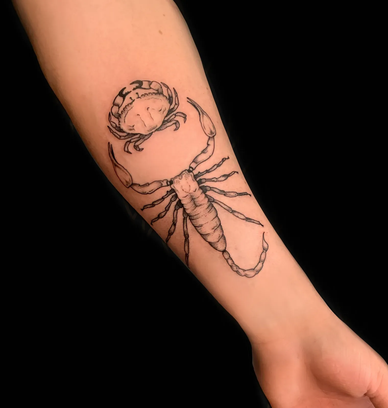 Tatouage faune crabe et scorpion fine line sur avant-bras — Annahata