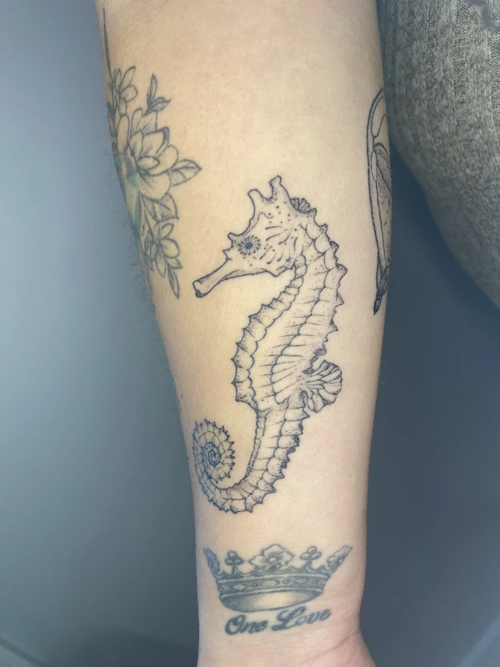 Tatouage hippocampe fine line sur avant-bras — Annahata Tattoo