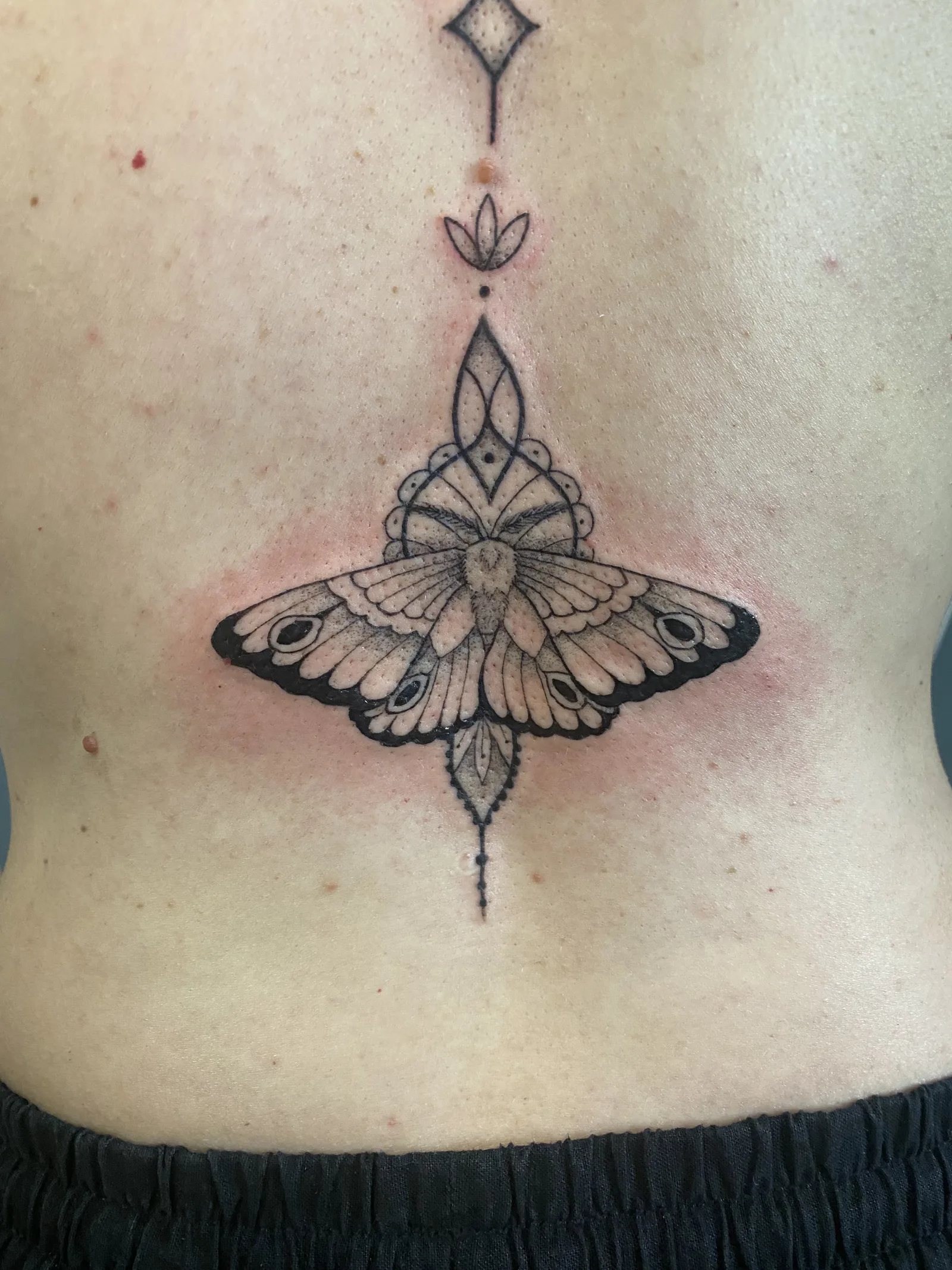 Tatouage papillon de nuit et lune ornementale dans le dos — Annahata, fine line